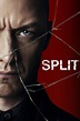 Split (2016) Movie Poster - ID: 54014 - Image Abyss