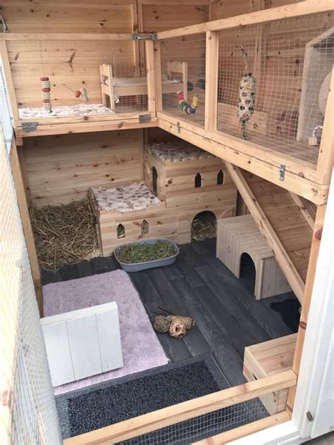 Rabbit Care Advice Best 4 Bunny Pig House Rabbit Enclosure Rabbit