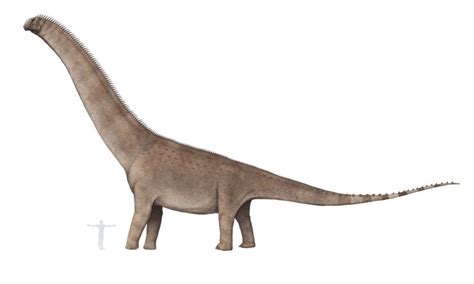 Argentinosaurus Huinculensis The Largest Sauropod Currently Known To