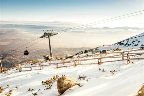 Winter Landscape On Mountain Ski Resort With Cabin Lifts And Sunny Sky