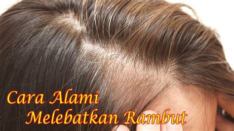 Alpukat alpukat juga dapat melebatkan rambut bayi secara alami. Cara Paling Ampuh Melebatkan Rambut Super Cepat Hanya ...