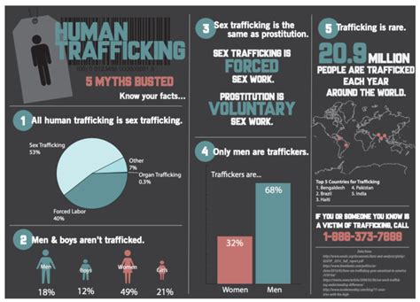 Human Trafficking Infographic Tess Allen