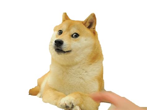 I Edited The House Out Of Everyones Favourite Doge Picture Rdogecoin