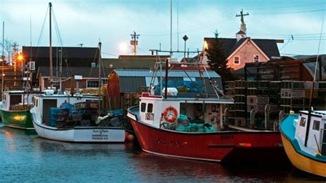 Nova Scotia Lobster Fishermen Buoyed By Big Catches Ctv News