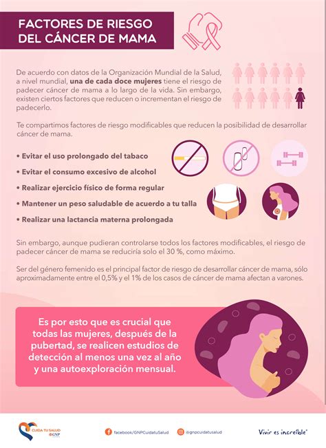 Factores De Riesgo Cancer De Mama