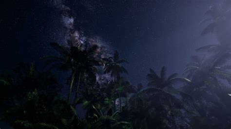 4k Astro Of Milky Way Galaxy Over Tropical Rainforest Stock Video