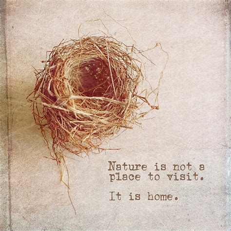 Bird Nest Photo With Quote Vintage Style Nature Photograph Etsy