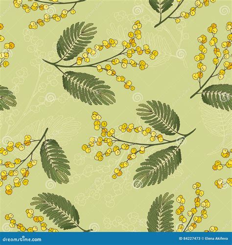 Mimosa Graphic Green Yellow Sketch Seamless Pattern Illustration Stock