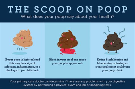 Poop Appearance The Scoop On Your Poops Size Shape And Color