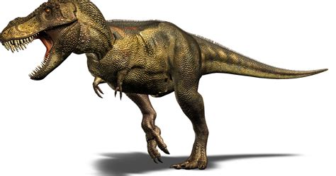 Biovida El Temido Rey De Los Dinosaurios El Tyrannosaurus Rex
