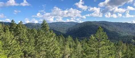 A New Era For Redwood Forests In The Santa Cruz Mountains Post