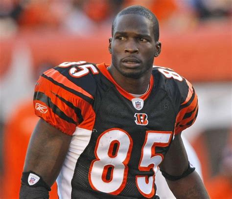 Bengals Chad Ochocinco Says Lions Louis Delmas Shouldnt Try To Out