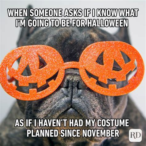 20 Best Halloween Memes 2021 Readers Digest