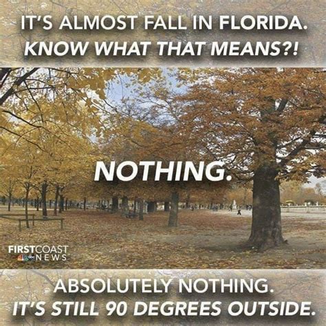 Florida Seasons Florida Funny Florida Florida Fall