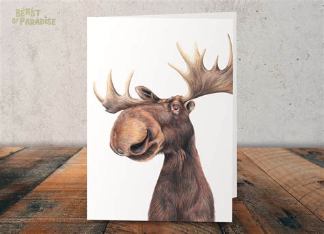 Funny Moose Greeting Card Birthday Card 472 X Etsy