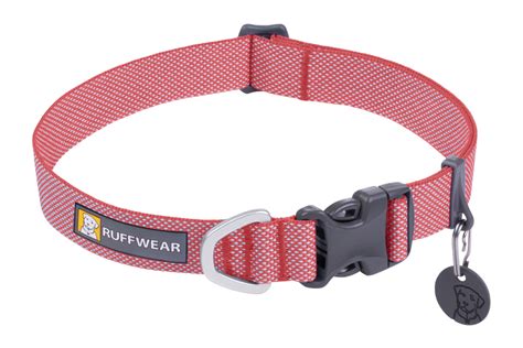 Dog Collar Png Ubicaciondepersonascdmxgobmx