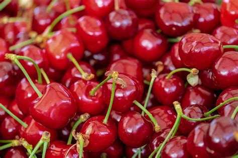Agronometrics In Charts Cherry Prices And Volumes In The Us Market Agronometrics Stories