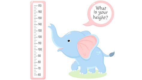 Quiz That Guesses Your Height 20 Factors To Consider 99 Accuracy
