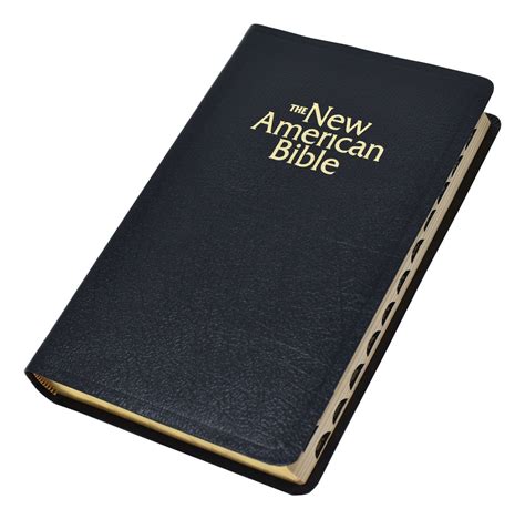 Catholic Book Publishing Nabre Deluxe T Bible Indexed
