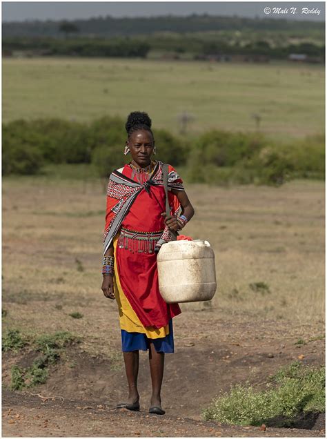 Dsc Maasai Women Carrying Water In Jerry Can Tale Flickr