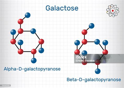 Vetores De Galactose Alfadgalactopyranose Betadgalactopyranose Molécula