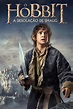 O Hobbit: A Desolação de Smaug (2013) - Pôsteres — The Movie Database ...