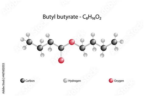 Fotomural Molecular Formula Of Butyl Butyrate Butyl Butyrate Or Butyl