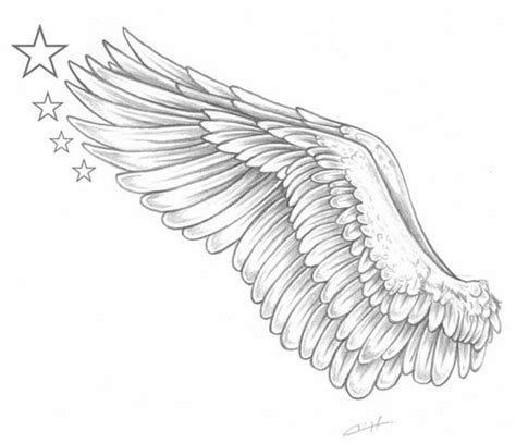 Wings Drawings For Tattoos Best Tattoo Ideas For Men And Women