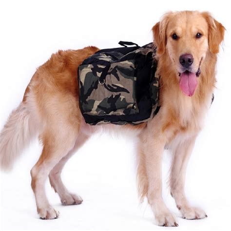 10 Best Saddle Bags For Dogs Pack Up For Your Next Adventure Furry