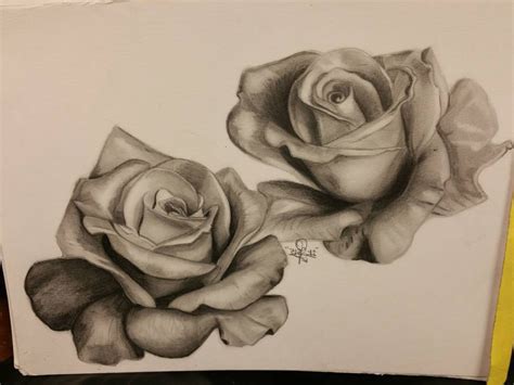 26 Pencil Sketch Drawing Rose Background