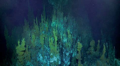 Scientists Find Life At Unexplored Ocean Depths