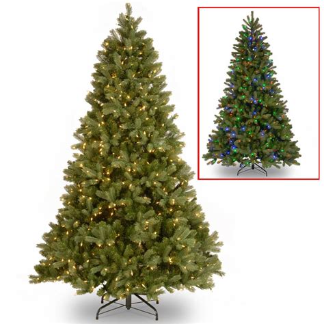 Find the perfect douglas fir christmas tree stock photos and editorial news pictures from getty images. National Tree Company 7.5 ft. Downswept Douglas Fir ...