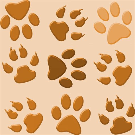 Paw Prints Wallpaper Background Free Stock Photo Public Domain Pictures