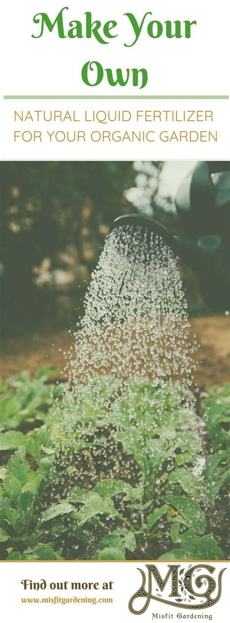 You take something high in. Learn how to make your own natural liquid fertilizer for ...
