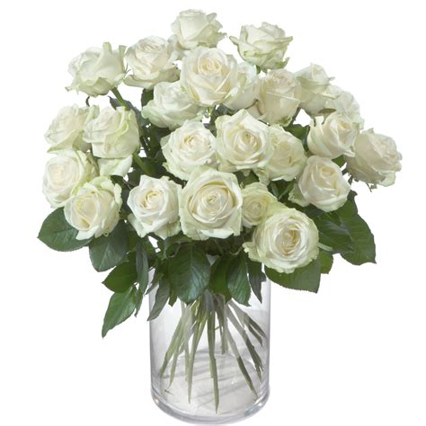 pearl white roses turkmenistan interflora latvia flower delivery