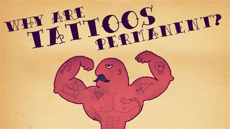 A Ted Ed Animation Explaining Why Tattoos Are Permanent
