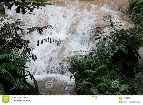 Waterfall In Rainforest Cascade In Forest Stock Image Image Of Fall