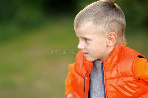 Portrait Of Cute Little Boy Stock Photo Image Of Spring Vacation