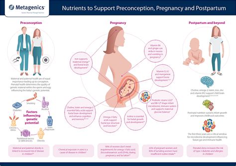 infographic pregnancy