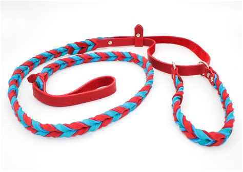 Braided Leather Agility Leash Martingale Style Pro Mohs Pet Products