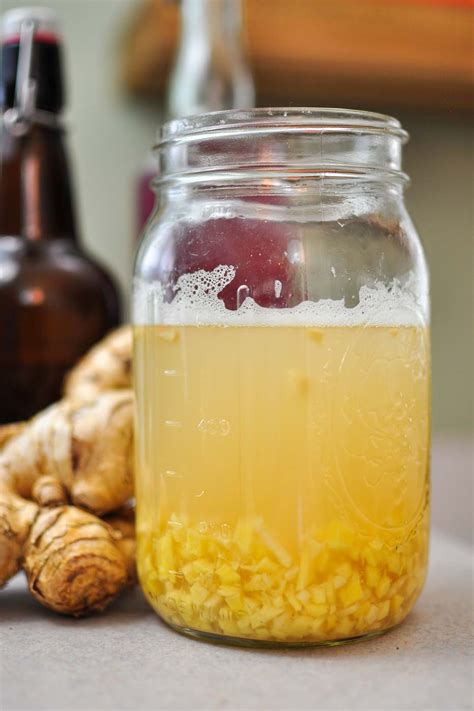 How To Make A Ginger Bug For Homemade Soda The Fermentation Adventure