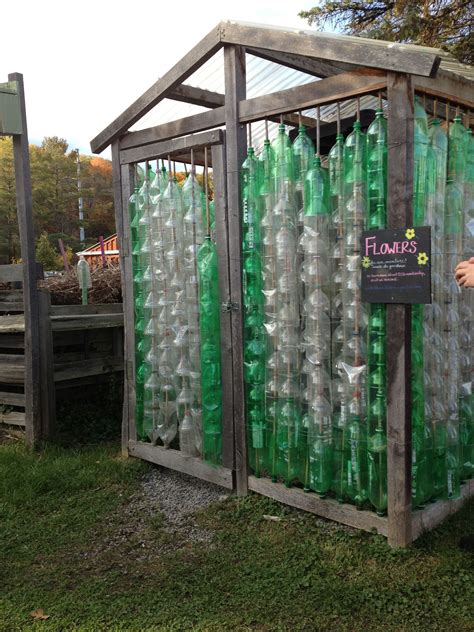Make Your Own Green House Out 2 Liter Bottles Ithaca Childrens