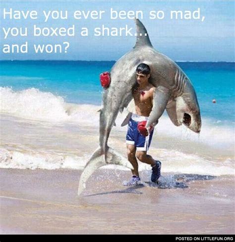 Sometimes you have to let your emotions out by swinging a cactus!!! LittleFun - Have you ever been so mad, you boxed a shark ...