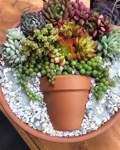 Succulent Pot In A Pot Charming Ideas