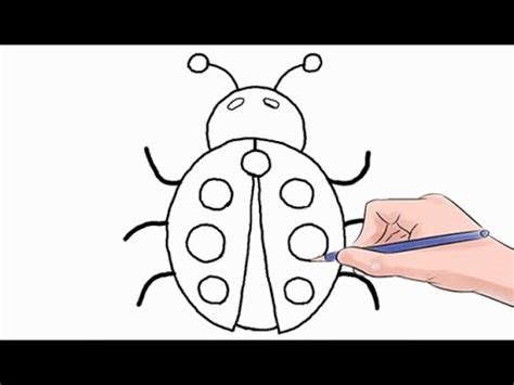 By the end, we develop a strong understanding of form, 3d space and construction. How to Draw a Ladybug Easy Step by Step - YouTube