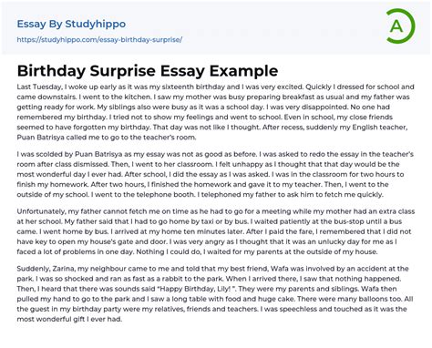 Birthday Surprise Essay Example