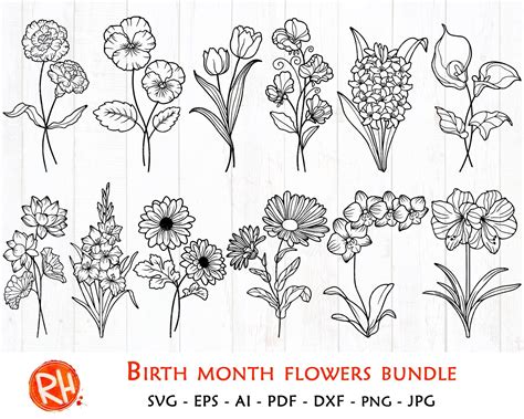 Birth Flowers Svg Bundle Plants Each Month Cut File Zodiac Design