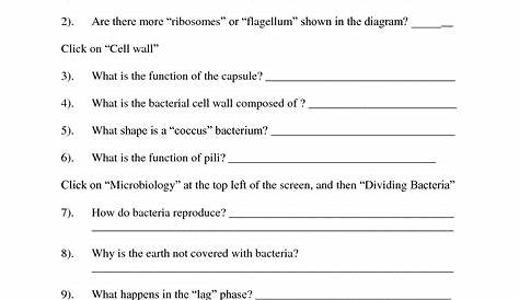 Viruses And Bacteria Worksheet — db-excel.com