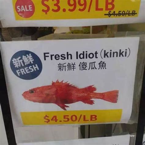 Blursed Fish Fresh Idiot Kinki Rblursedimages