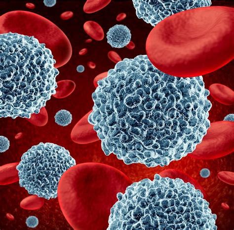 How To Increase Red Blood Cell Count 5 Steps